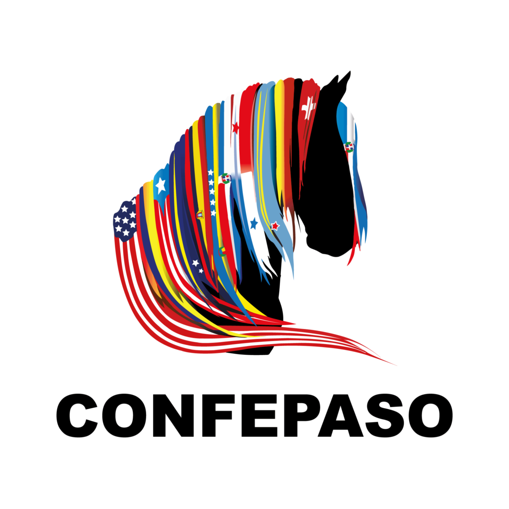 Paso Fino Horse Association Share Our Paso Passion